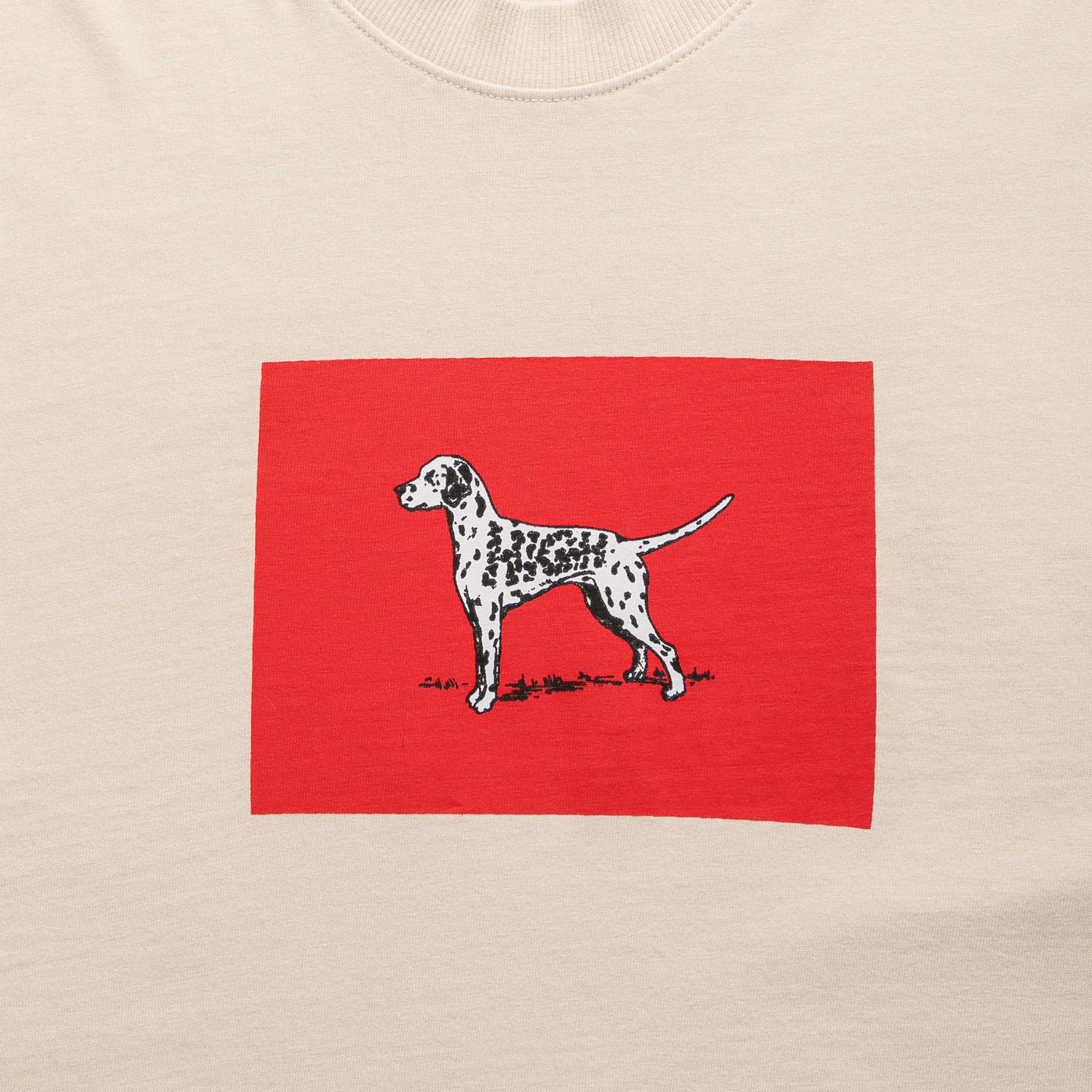 Tee Dalmatian Beige