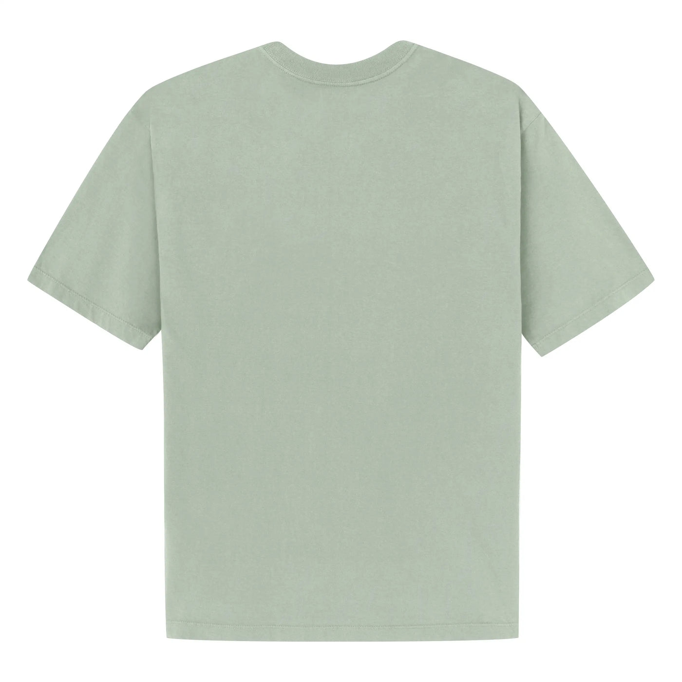 Tee Wings Light Green